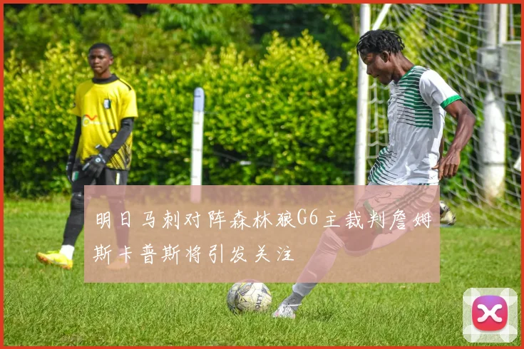 明日马刺对阵森林狼G6主裁判詹姆斯卡普斯将引发关注