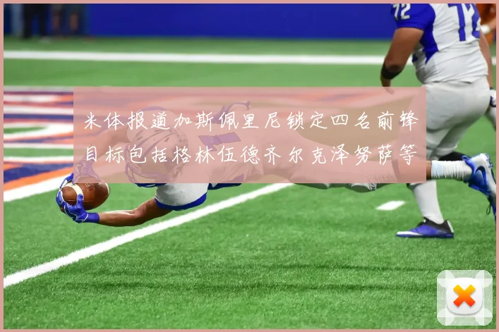米体报道加斯佩里尼锁定四名前锋目标包括格林伍德齐尔克泽努萨等人